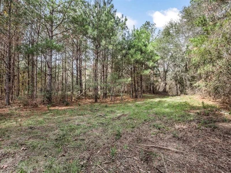 8 Acres for Sale Just Outside : Brookhaven : Franklin County : Mississippi