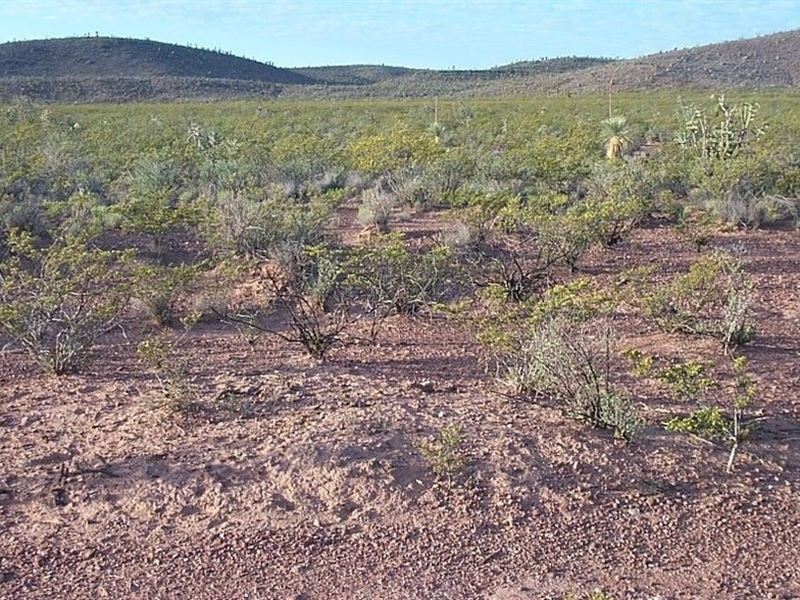 5+ Acres Mountain Views Southwest : Fort Hancock : Hudspeth County : Texas