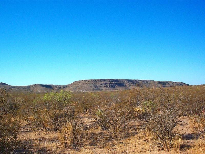 Rancho Del Sol 10.5 Acres Seasonal : Fort Hancock : Hudspeth County : Texas