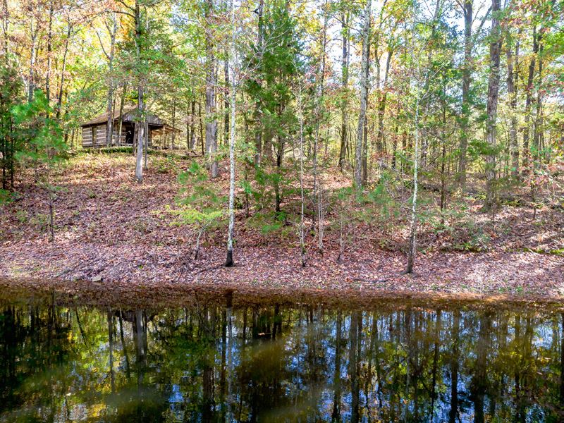 West Trace Farm : Waterloo : Lauderdale County : Alabama