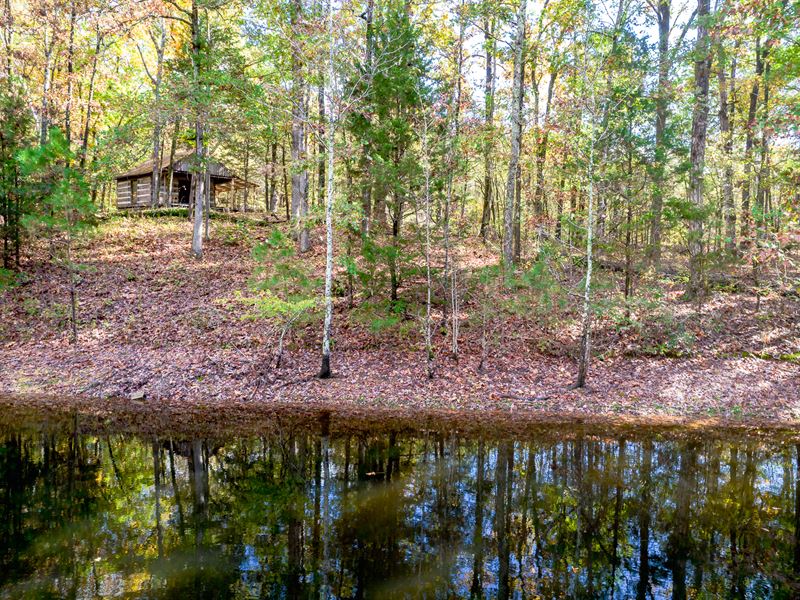 West Trace Farm : Waterloo : Lauderdale County : Alabama