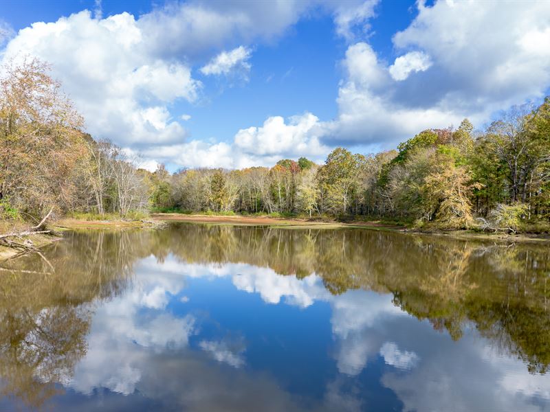 East Trace Farm : Waterloo : Lauderdale County : Alabama