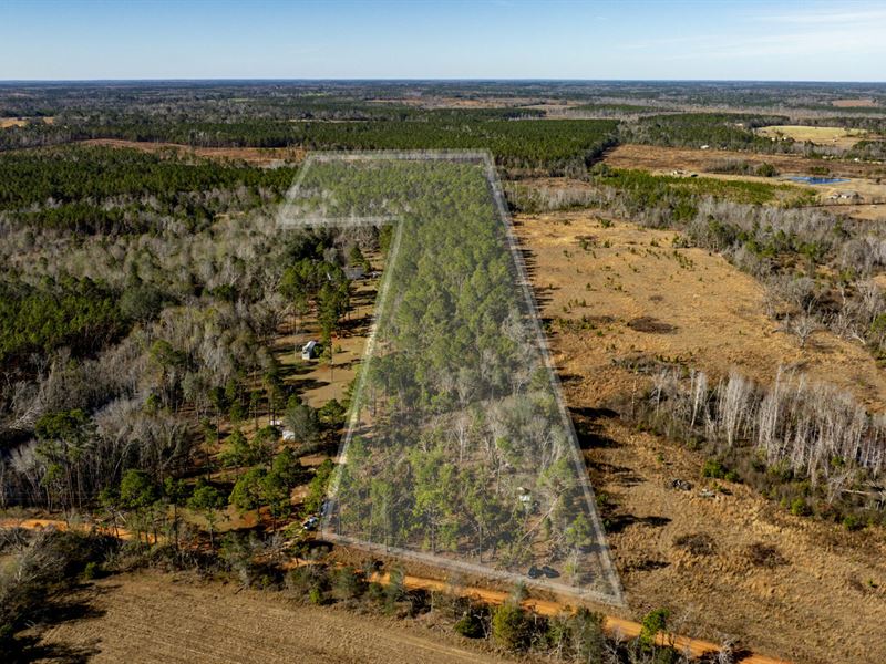 Toombs County 22+ Acres : Uvalda : Toombs County : Georgia