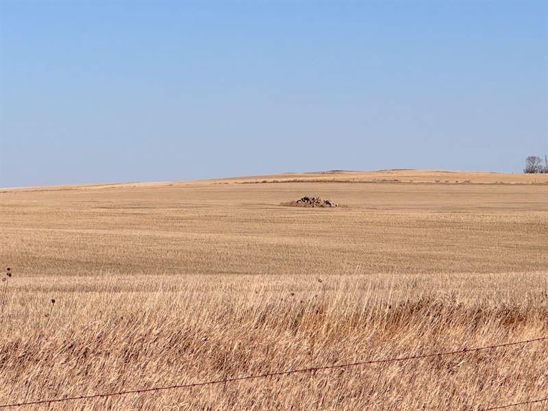 Perkins Farm and Hunt : Ralph : Perkins County : South Dakota