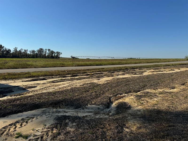 Wadley Irrigated Cropland : Wadley : Jefferson County : Georgia