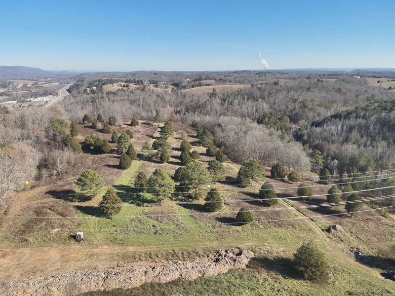 46 Acres in Rhea County, TN : Dayton : Rhea County : Tennessee