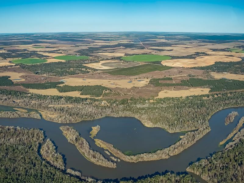 Cattle and Timber Investment, Farm Auction in Georgia, #389436 : FARMFLIP