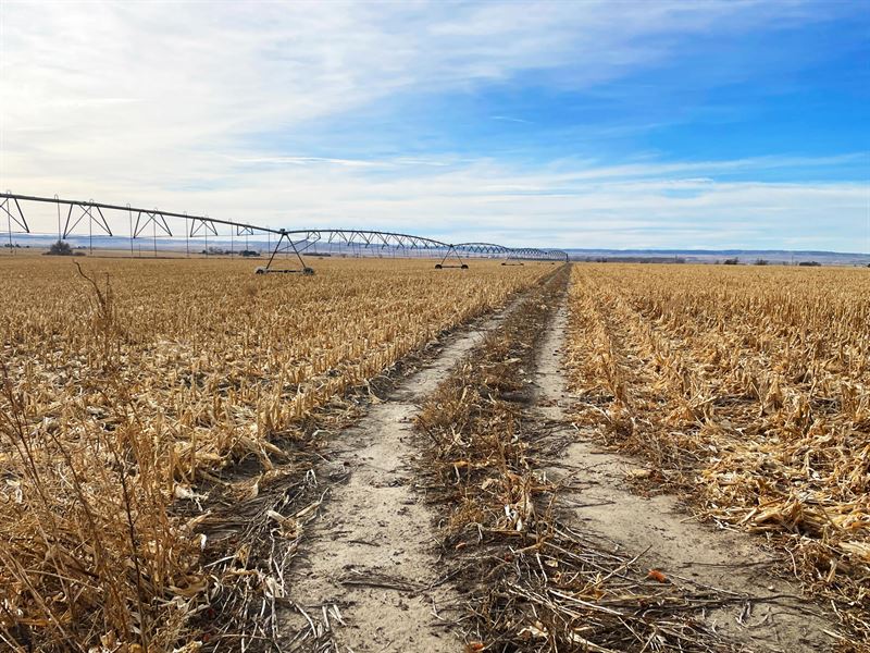 143 Acres, Scotts Bluff County : Scottsbluff : Scotts Bluff County : Nebraska