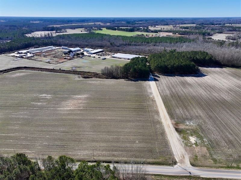 108.2 Acres of Farmland, Timberland : Elm City : Wilson County : North Carolina