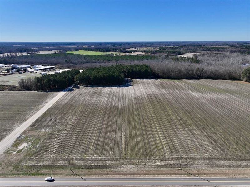 26.4 Acres of Farm and Timber Land : Elm City : Wilson County : North Carolina