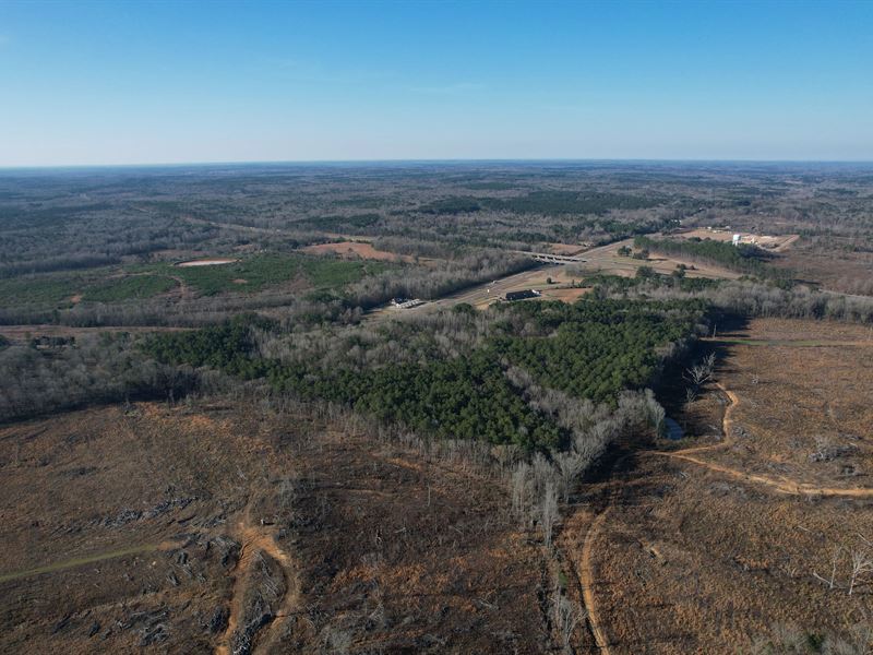 71 Acres in Holmes County, MS : Durant : Holmes County : Mississippi