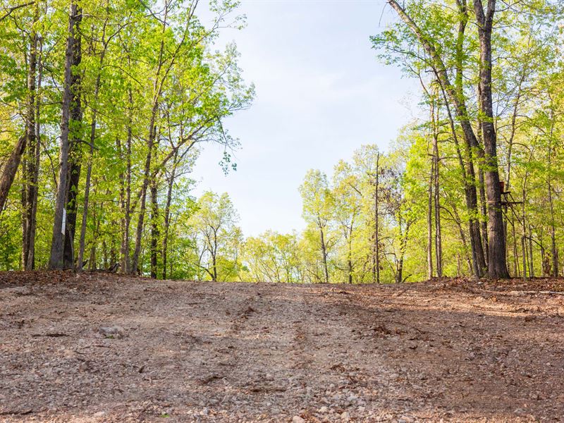 No Credit Check, Arkansas Land : Ash Flat : Fulton County : Arkansas