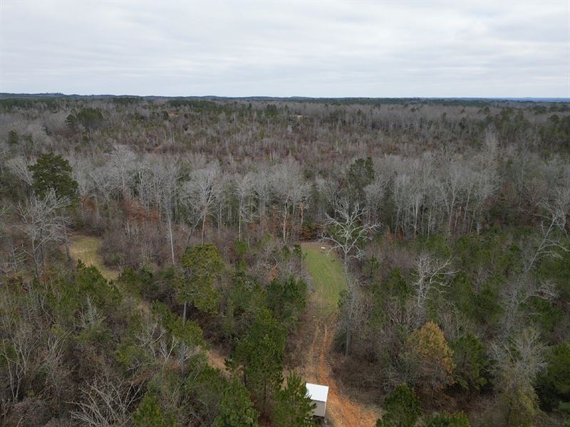 82 Acres Benevola Pickens Count : Gordo : Pickens County : Alabama