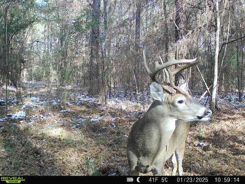 West Fork of Amite River, Hunting : Liberty : Amite County : Mississippi