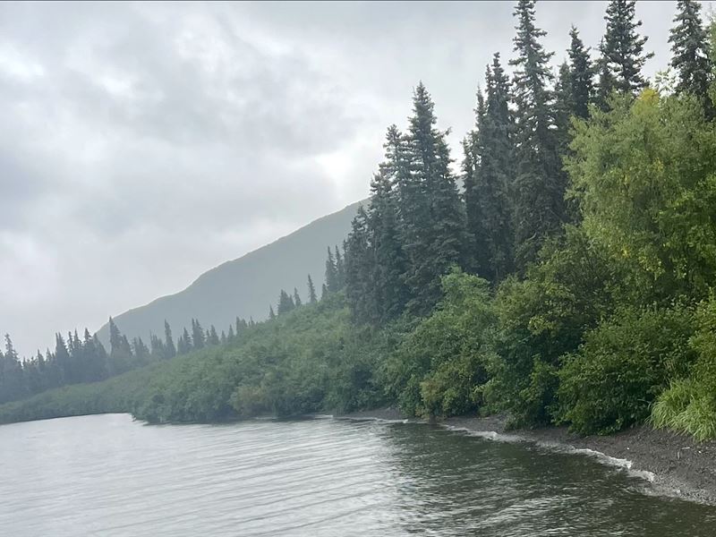 Nunavaugaluk Lake : Dillingham : Dillingham Borough : Alaska