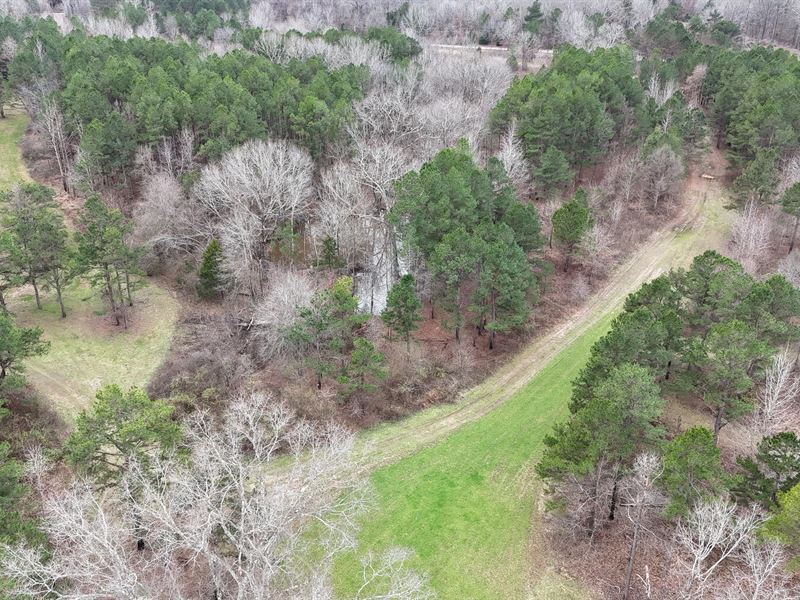 67 Acres in Benton County, MS : Michigan City : Benton County : Mississippi