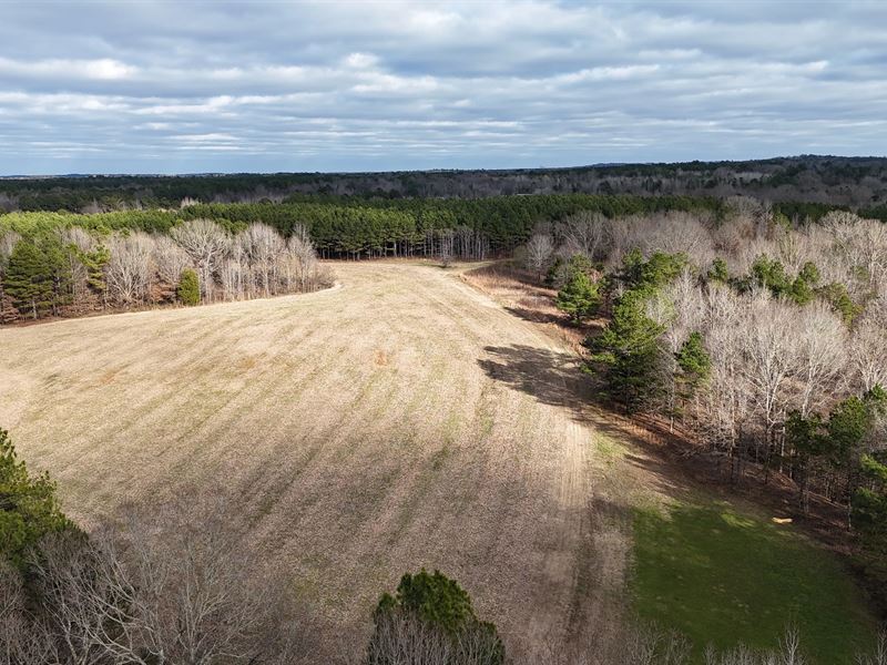 76.34 Acres in Benton County, MS : Michigan City : Benton County : Mississippi