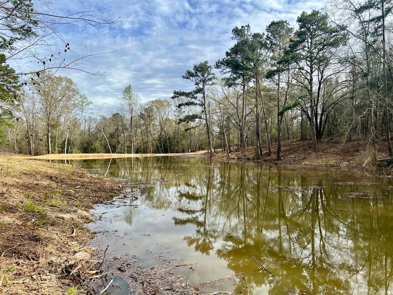 Banks Property : Troy : Pike County : Alabama