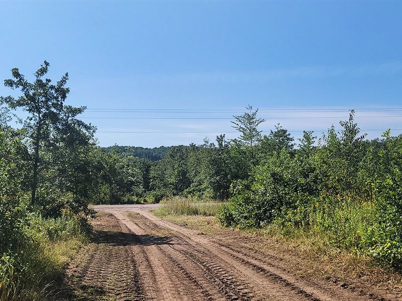 Dunn County Land with Driveway : Ridgeland : Dunn County : Wisconsin