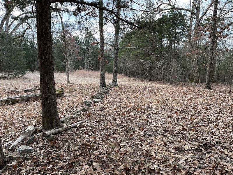 Land for Sale in Northern Arkansas : Oakland : Marion County : Arkansas