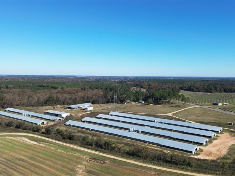 Profit 6 House Broiler Poultry Frm : Pineview : Pulaski County : Georgia