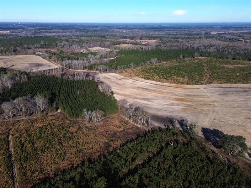 Beulah Longleaf Plantation : Sylvania : Screven County : Georgia