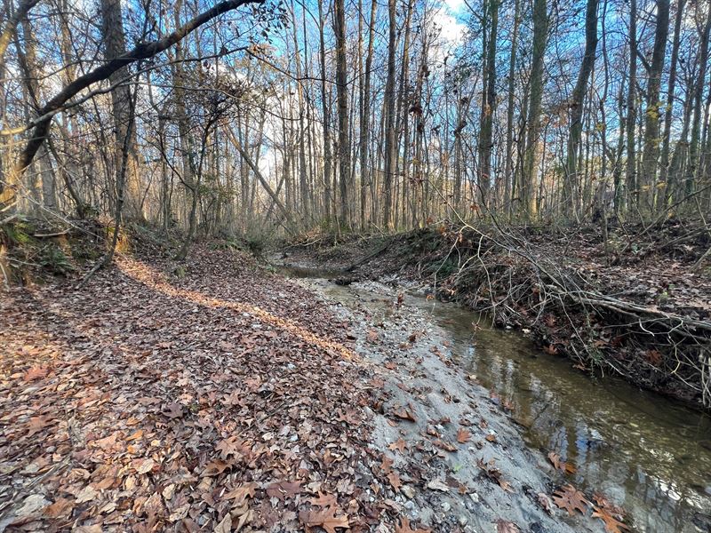 14 Acres 272 Stone Road, Henry : McDonough : Henry County : Georgia