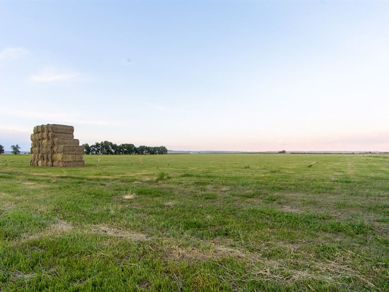 Sioux County Irrigated Farm : Morrill : Sioux County : Nebraska