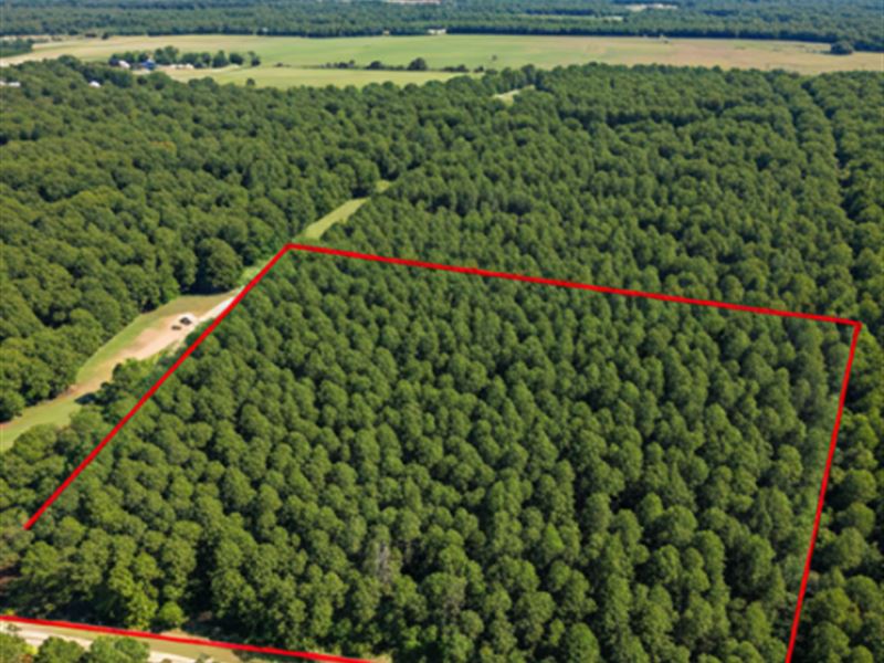 65 Private Acres in Red Oak, OK : Red Oak : Latimer County : Oklahoma