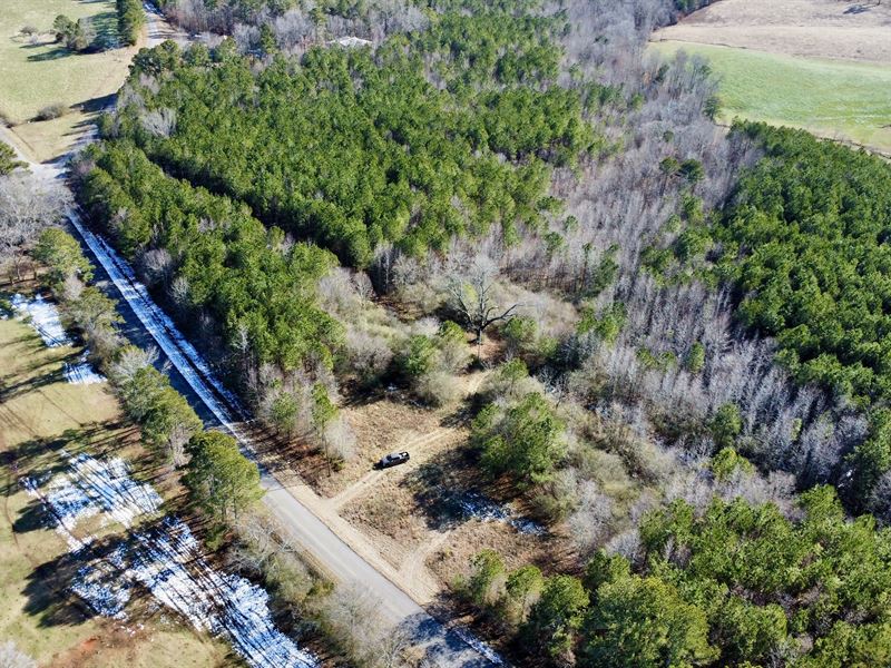 20 Acres in Randolph County : Newell : Randolph County : Alabama