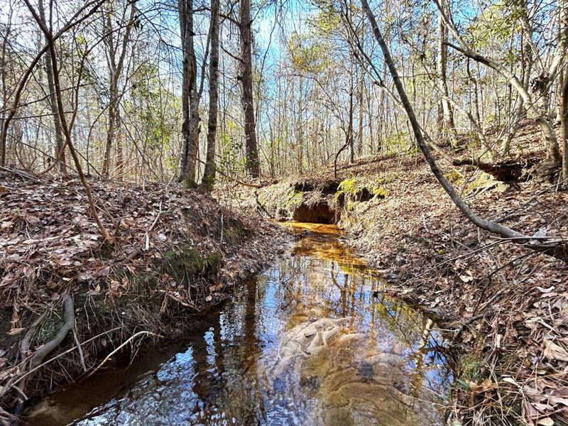 Timberland Investment & Hunting : Warthen : Washington County : Georgia