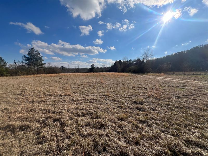 Lagrange Farm & Homesite : Leighton : Colbert County : Alabama