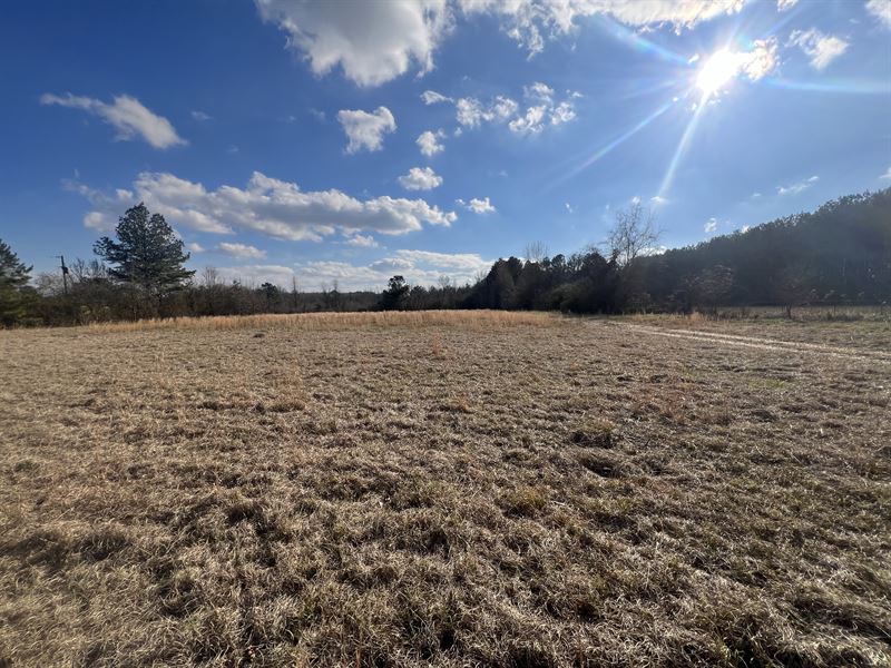 Lagrange Farm & Homesite : Leighton : Colbert County : Alabama