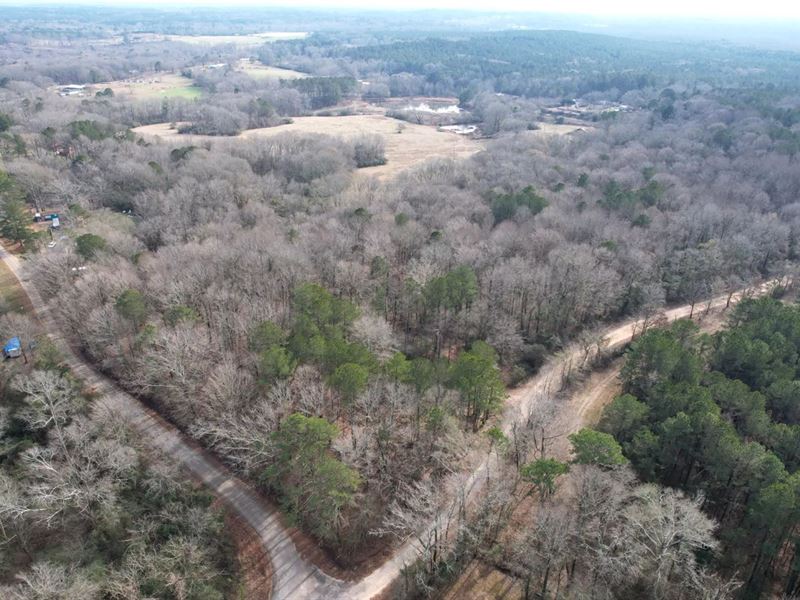 60.5 Acres in Leake County in Carth : Carthage : Leake County : Mississippi