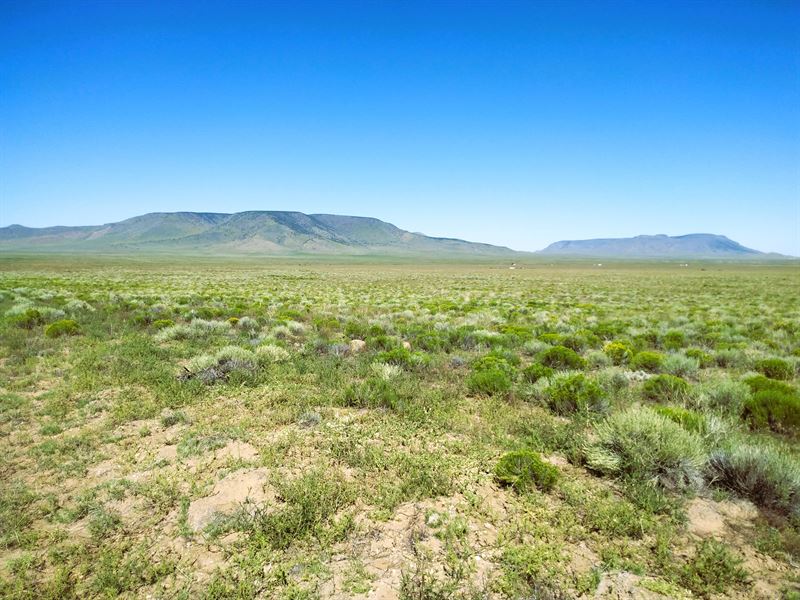 Great Mountain Views, Nearby River : San Luis : Costilla County : Colorado