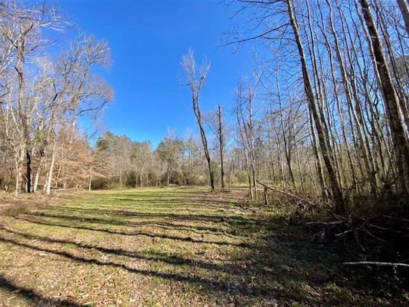 Home & 110 Acres, Amite Co, MS : Magnolia : Amite County : Mississippi