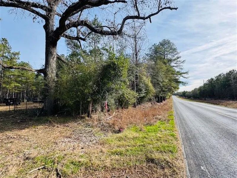 20.27 Surveyed Acres On Hwy 440 : Franklinton : Washington Parish : Louisiana