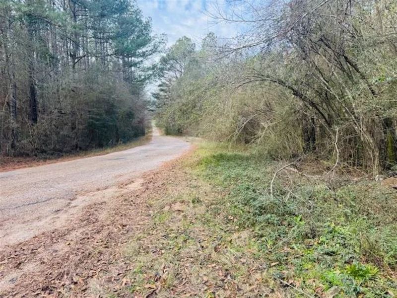 85 Acres / Fortenberry Road / Tyler : Tylertown : Walthall County : Mississippi