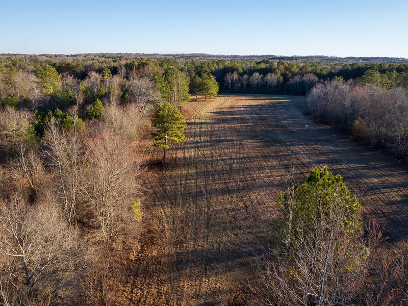 45 Acres Northeast Alabama : Flat Rock : Jackson County : Alabama