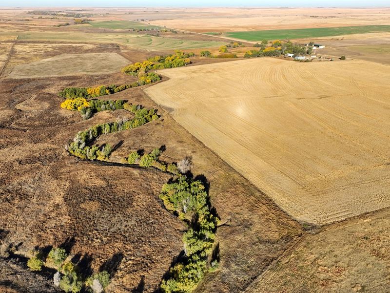 Tri-County Ranch : Beeler : Ness County : Kansas