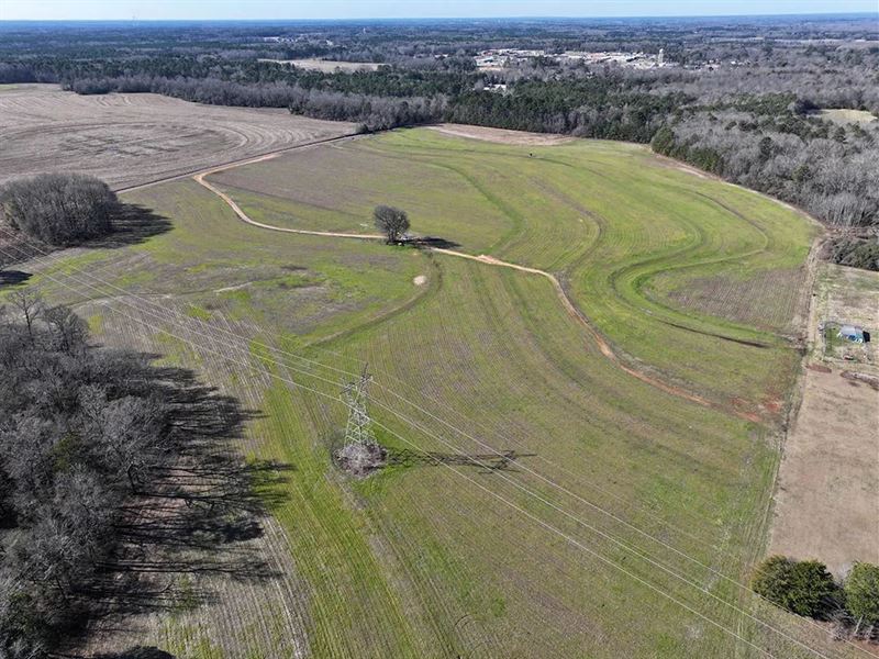 52.6 Acres in Lowndes County, MS : Caledonia : Lowndes County : Mississippi