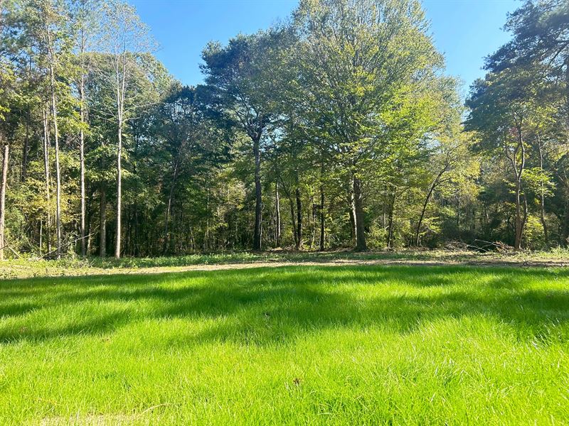 60 Acres in Copiah County, MS : Georgetown : Copiah County : Mississippi