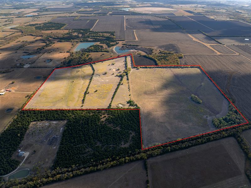 150 Acre Ranch Lamar County, TX : Brookston : Lamar County : Texas