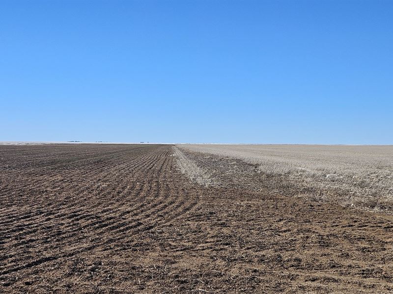 Multiple Parcels of Dry Cropland : Limon : Lincoln County : Colorado