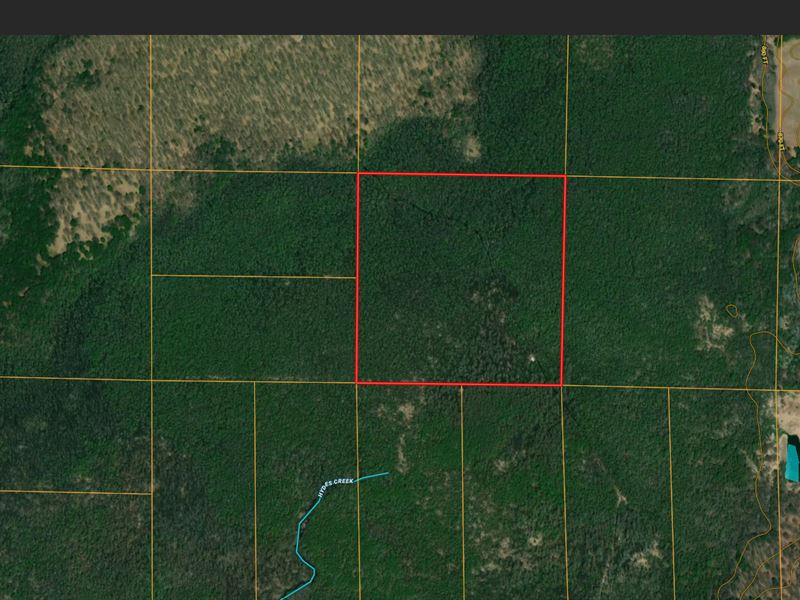 39.04 Acres in Clintonville, WI : Clintonville : Shawano County : Wisconsin