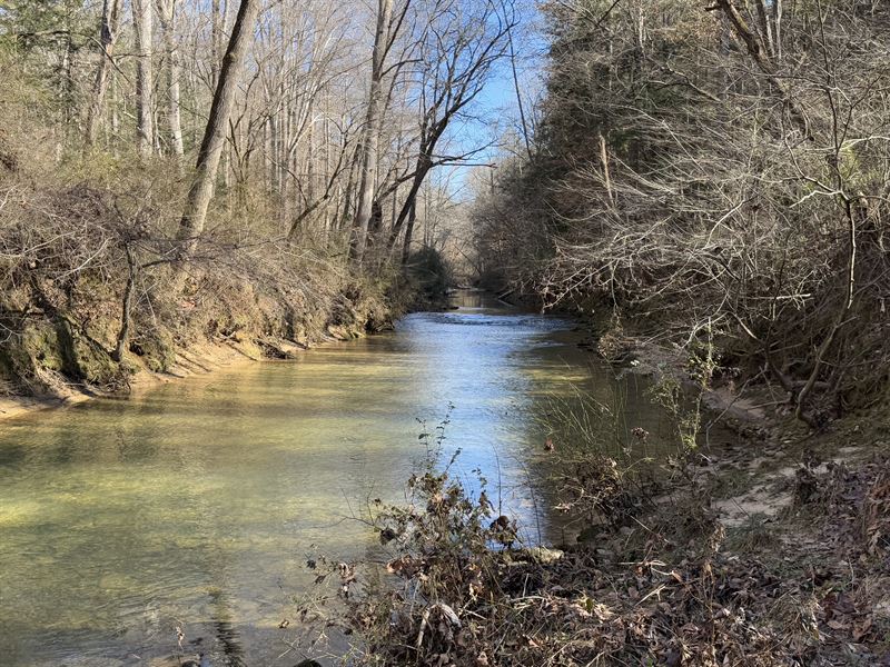 88 Acres on Rock Creek : Addison : Winston County : Alabama