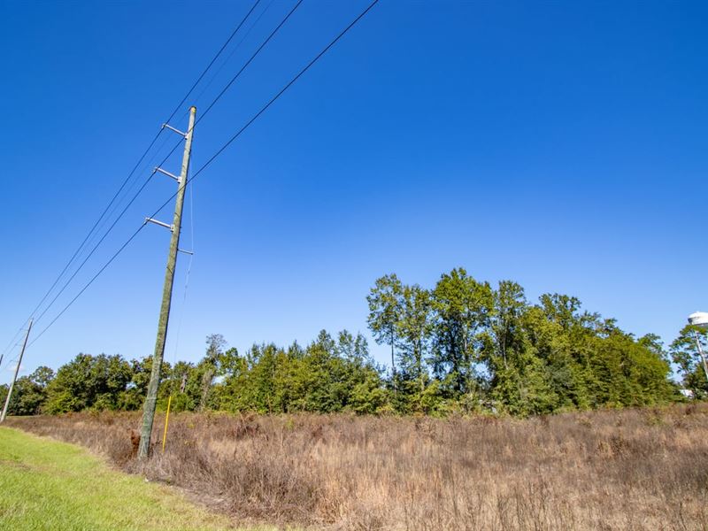 5.1 Ac Multi-Use Development in Blo : Blountstown : Calhoun County : Florida