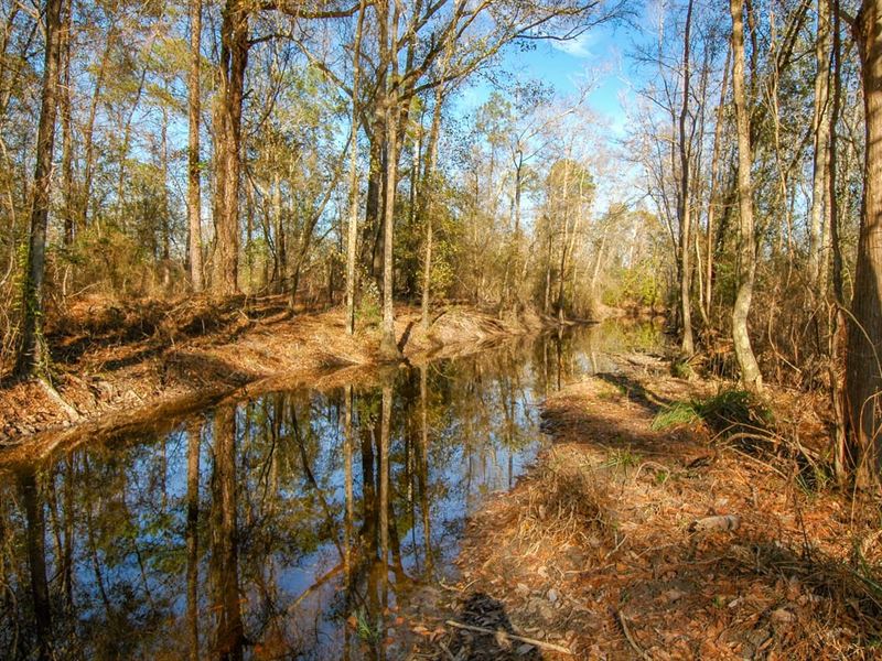 36.7 Ac Multi-Use Investment on US : Cottondale : Jackson County : Florida