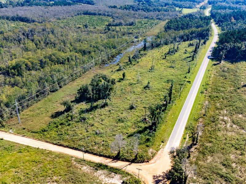 29.7 Ac Development Potential Prope : Bonifay : Holmes County : Florida