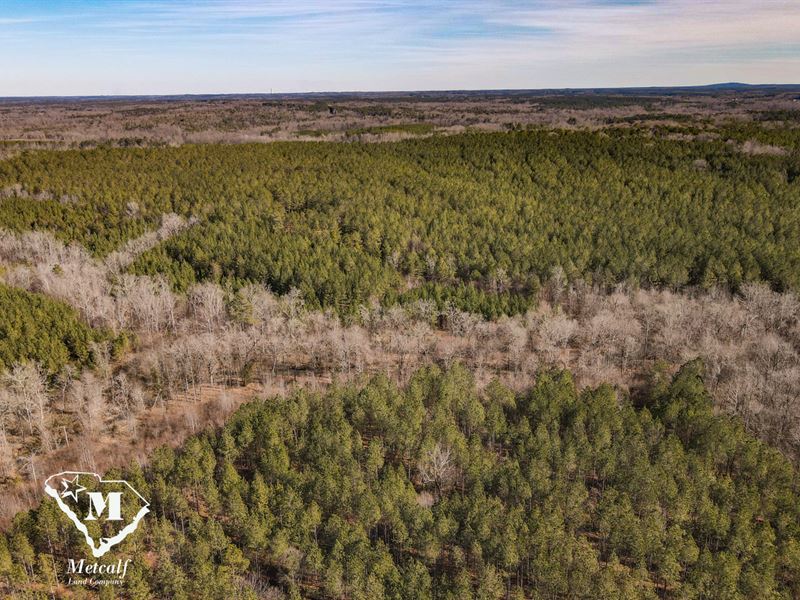 Timber Tract in Abbeville County : Calhoun Falls : Abbeville County : South Carolina